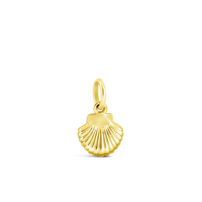 Seashell Charm
